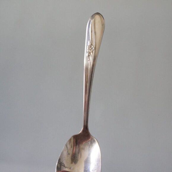 H&T Mfg Co 1940 Meadow Flower Pattern Condiment Serving Spoon Silverplated - Picture 10 of 11